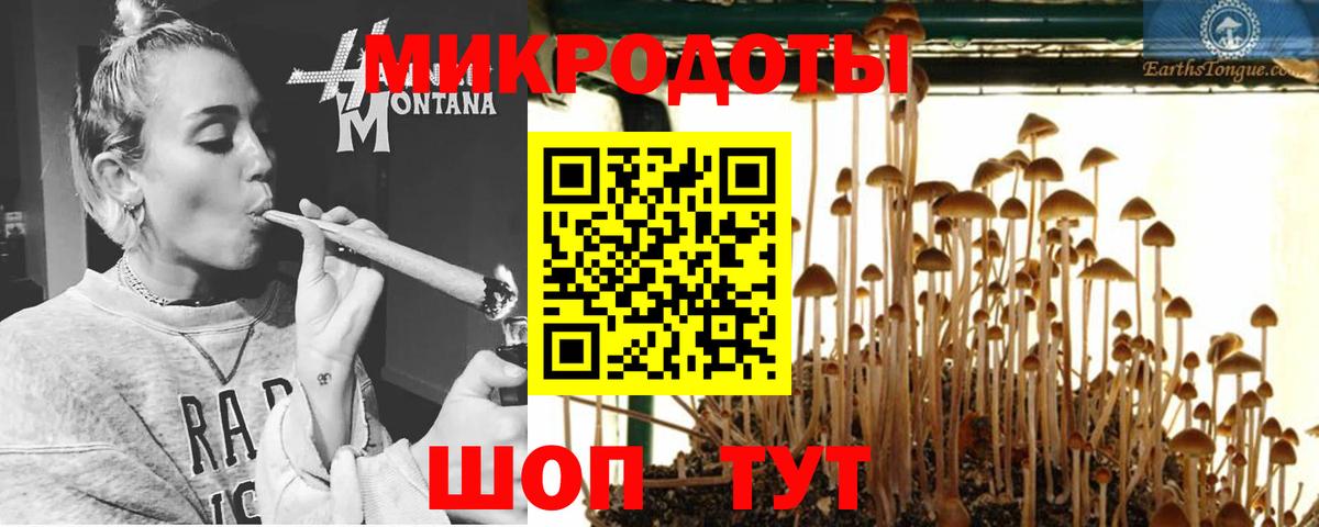 Псилоцибиновые грибы Psilocybe  Галлюциногенные грибы Psilocybine cubensis  Дальнегорск  Вход с VPN 