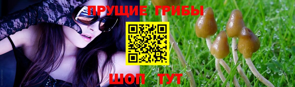 Галлюциногенные грибы Magic Shrooms Дальнегорск